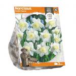 Baltus Narcissus Double Popeye bloembollen per 3 stuks